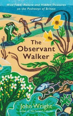 The Observant Walker By John Wright 9781788166874 (Hardback)
