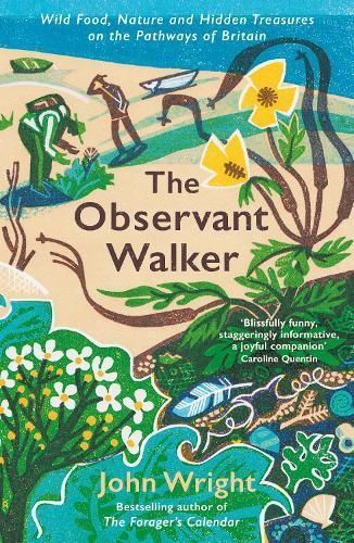 The Observant Walker By John Wright 9781788166881 (Paperback)