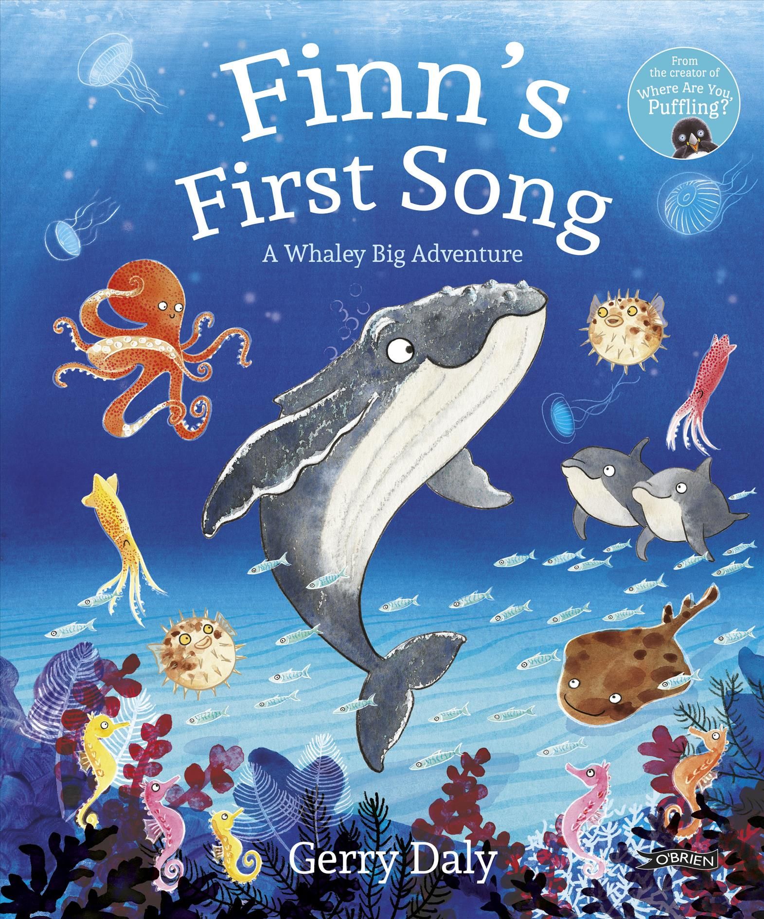 Finn's First Song By Gerry Daly 9781788491914 (Hardback)