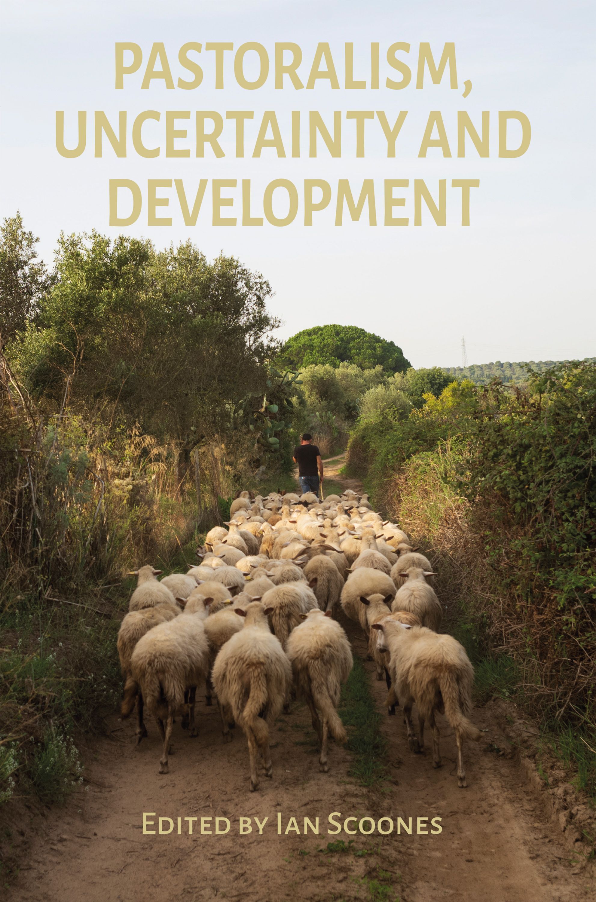 Pastoralism, Uncertainty and Development By Ian Scoones 9781788532433