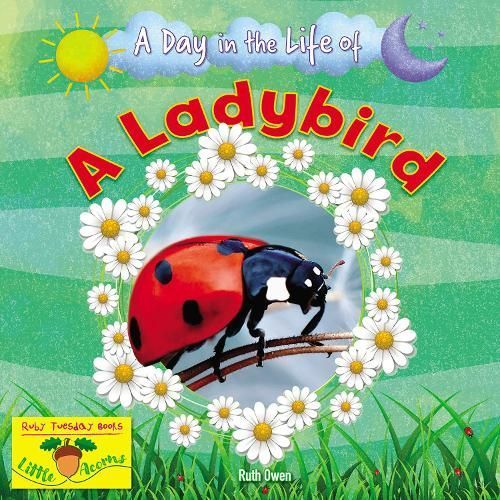 A Day in the Life of a Ladybird By Ruth Owen 9781788564397 (Paperback)