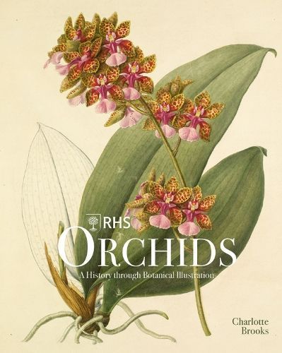 RHS Orchids 9781788841610 (Hardback)