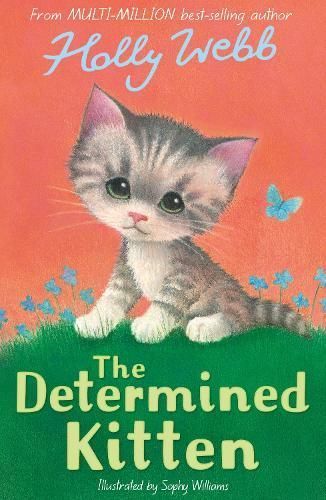 The Determined Kitten 9781788956505 (Paperback)