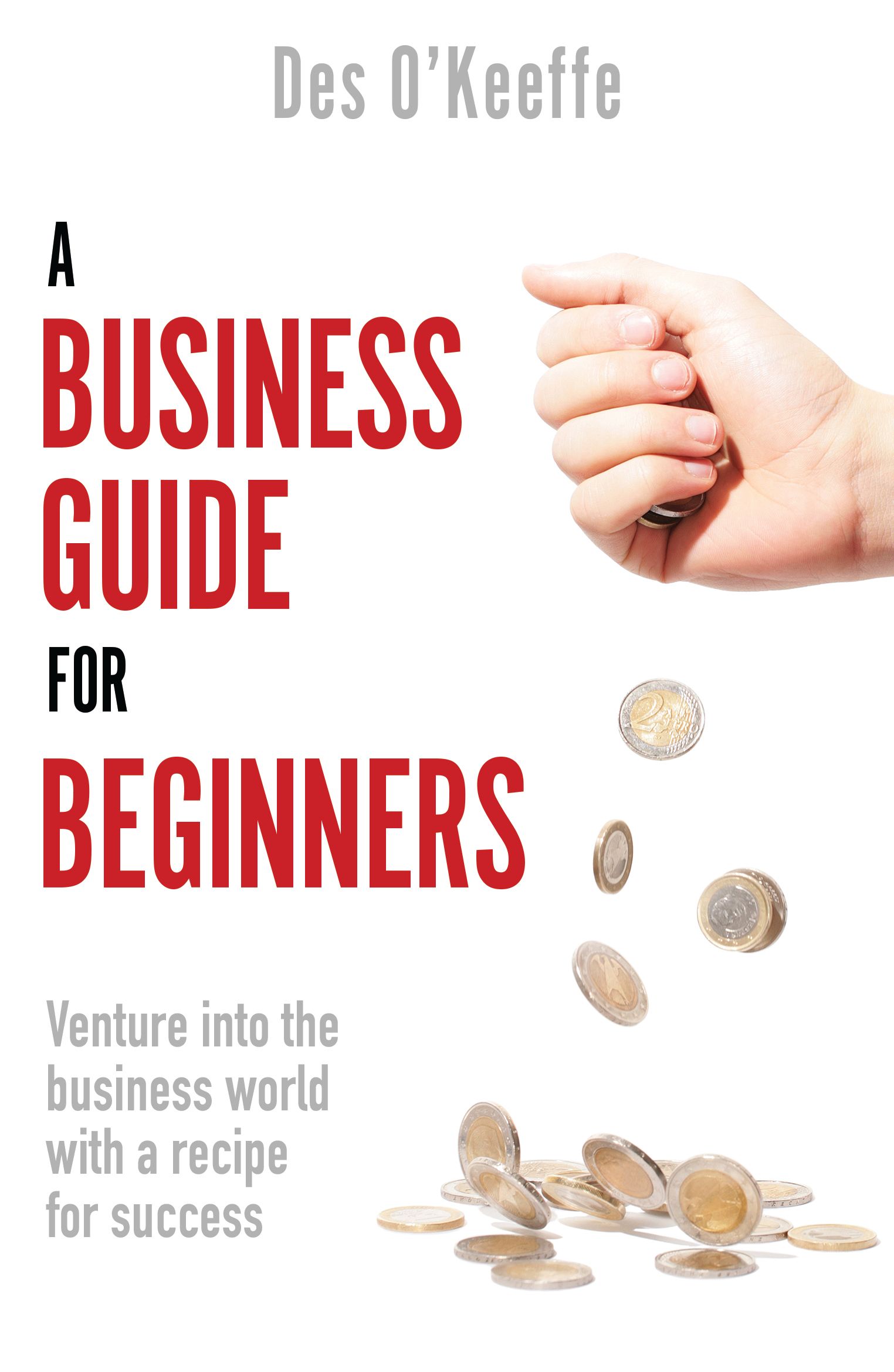 Business Guide for Beginners By Des O?Keeffe 9781789559897