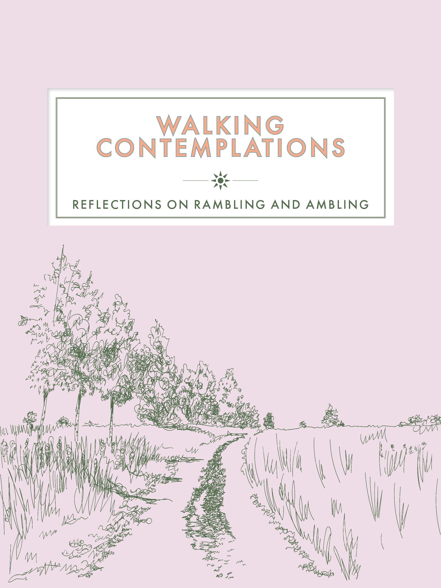 Walking Contemplations By 9781789561869 (Hardback)
