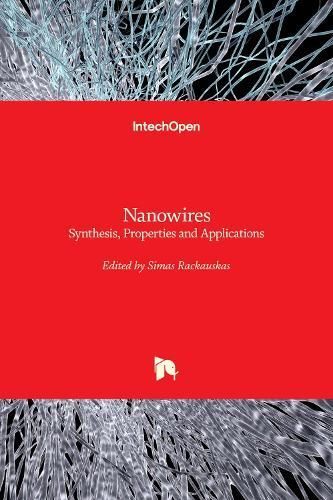 Nanowires By Simas Rackauskas 9781789859058 (Hardback)