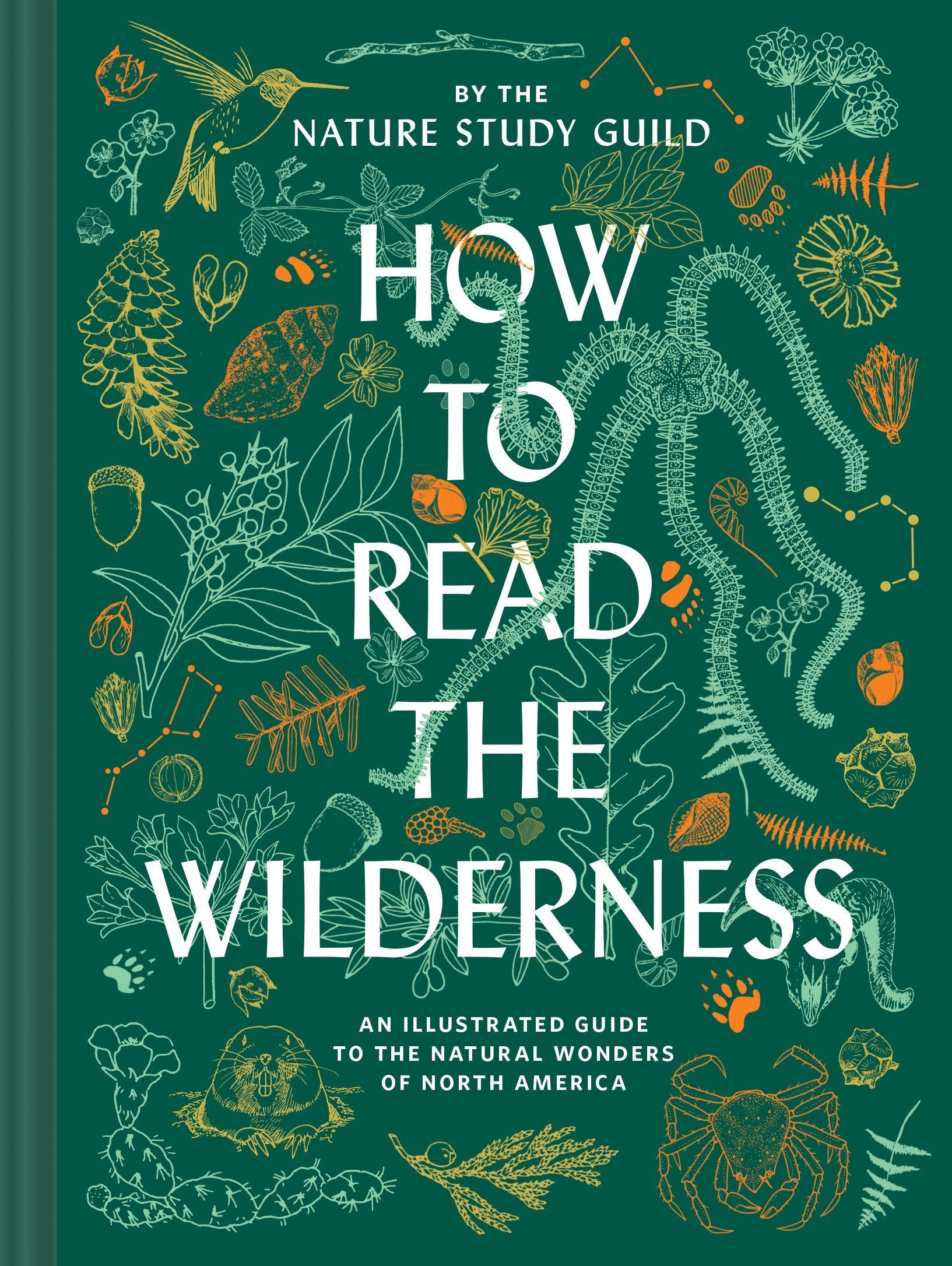How to Read the Wilderness By Nature Study Guild 9781797206868