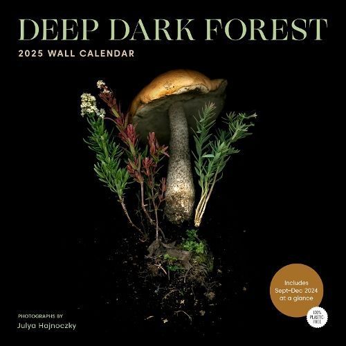 Deep Dark Forest 2025 Wall Calendar By Julya Hajnoczky 9781797229607