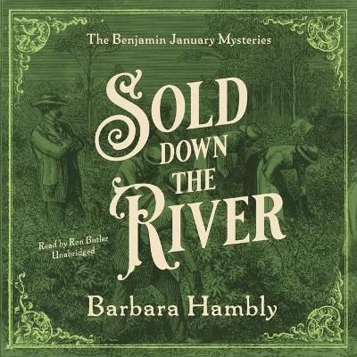 Sold Down the River Lib/E 9781799922193 (CD-Audio)