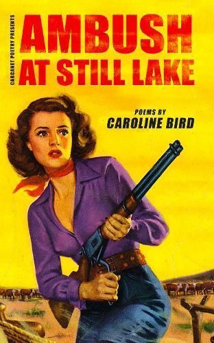 Ambush at Still Lake By Caroline Bird 9781800174122 (Paperback)
