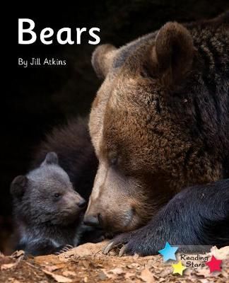 Bears By Jill Atkins 9781800470354 (Paperback)