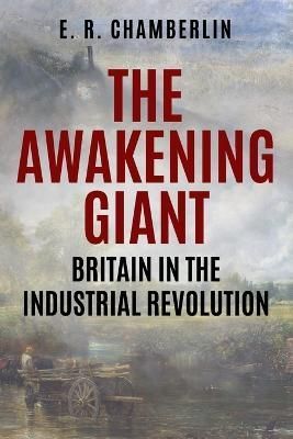 Awakening Giant By Chamberlin 9781800555297 (Paperback)