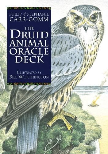 The Druid Animal Deck 9781800691254 (Cards)