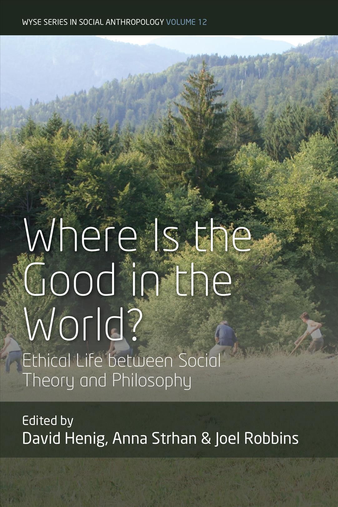 Where is the Good in the World? By David Henig 9781800735514