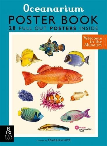 Oceanarium Poster Book 9781800783652 (Paperback)