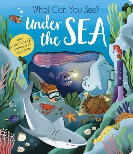 Under the Sea By Molly Littleboy (author), María Perera (artist)