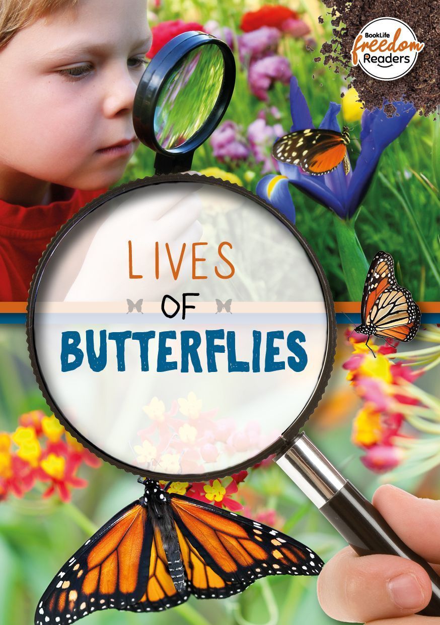 Lives of Butterflies By Holly Duhig 9781801551434 (Paperback)