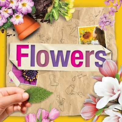 Flowers By Steffi Cavell-Clarke 9781801559317 (Paperback)