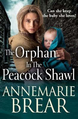 The Orphan in the Peacock Shawl By AnneMarie Brear 9781801627528
