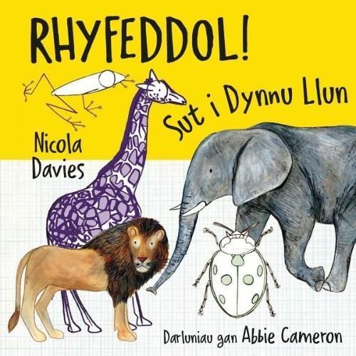 Rhyfeddol! 9781802582086 (Paperback)