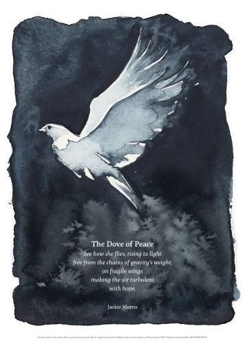 The Dove of Peace Poster By Jackie Morris 9781802587791 (Poster)