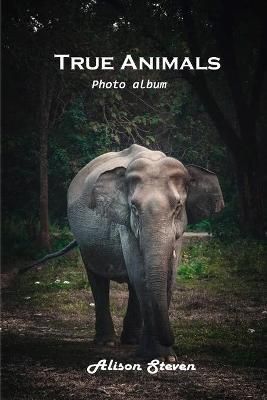 True Animals: Photo album By Alison Steven 9781803100821 (Paperback)