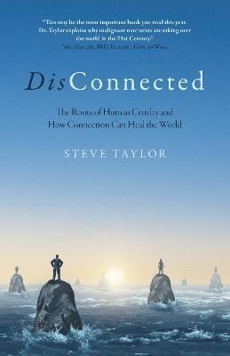 DisConnected By Steve Taylor 9781803410302 (Paperback)