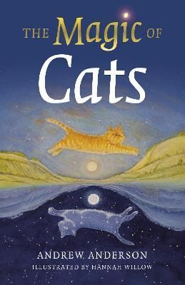 The Magic of Cats By Andrew Anderson 9781803410661 (Paperback)