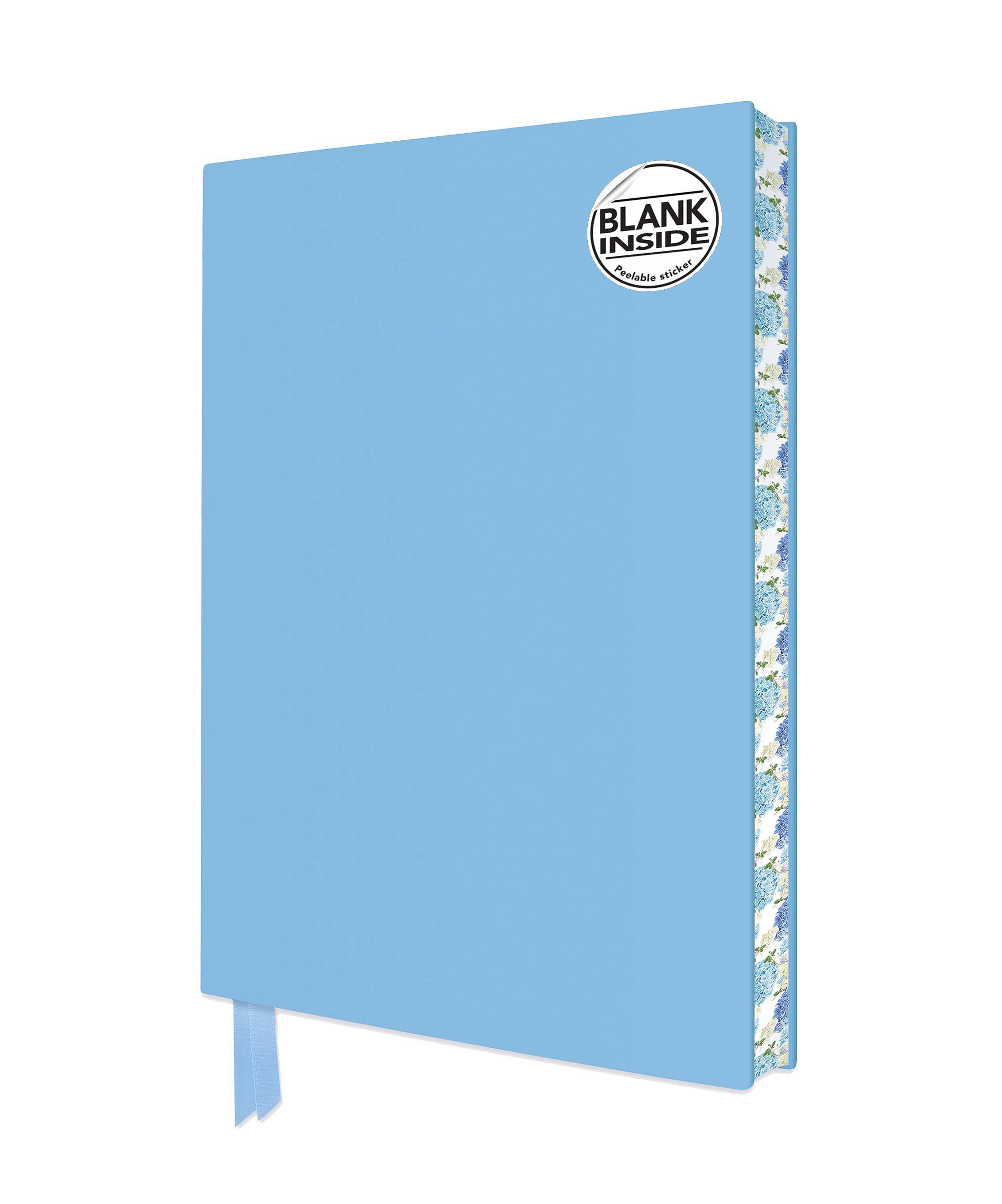 Duck Egg Blue Blank Artisan Notebook (Flame Tree Journals)