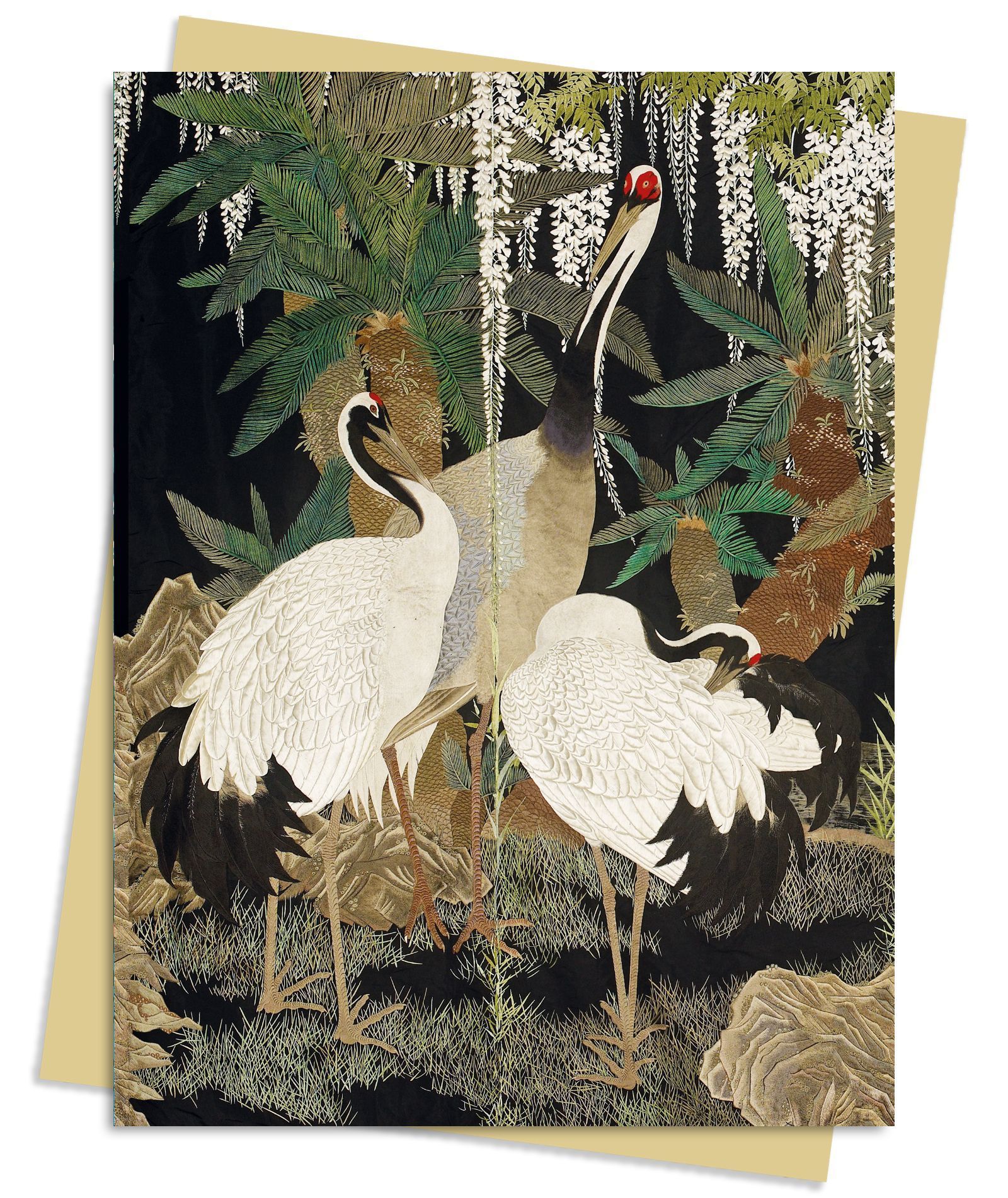 Ashmolean Museum: Cranes, Cycads & Wisteria Greeting Card Pack (Cards)