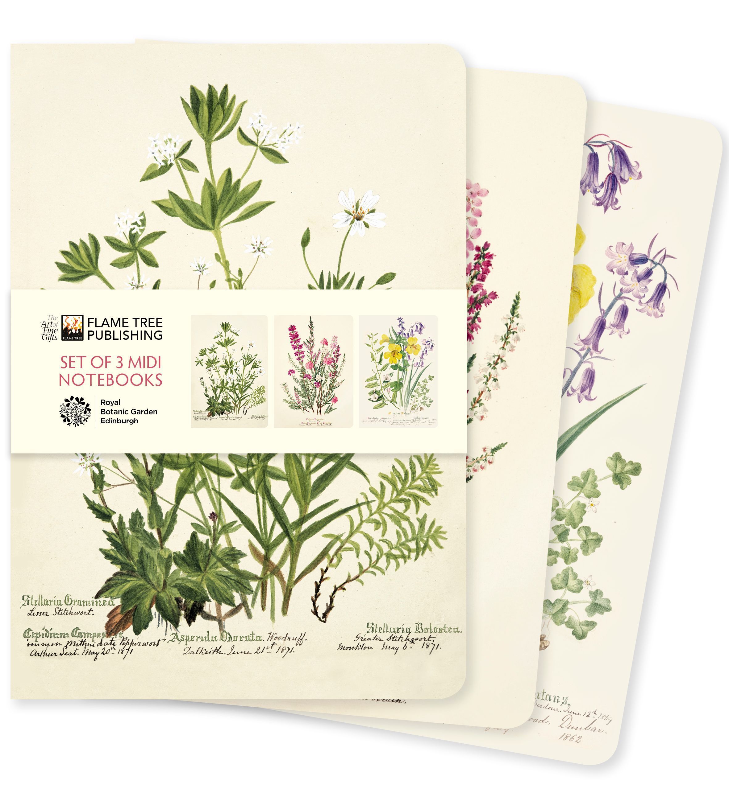 Royal Botanic Garden Edinburgh Set of 3 Midi Notebooks 9781804177778