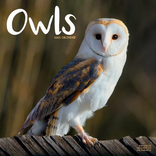 Owls Calendar 2025 Square Birds Wall Calendar - 16 Month 9781804604427