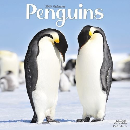 Penguins Calendar 2025 Square Animal Wall Calendar - 16 Month