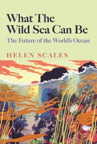 What the Wild Sea Can Be By Helen Scales 9781804710500 (Hardback)