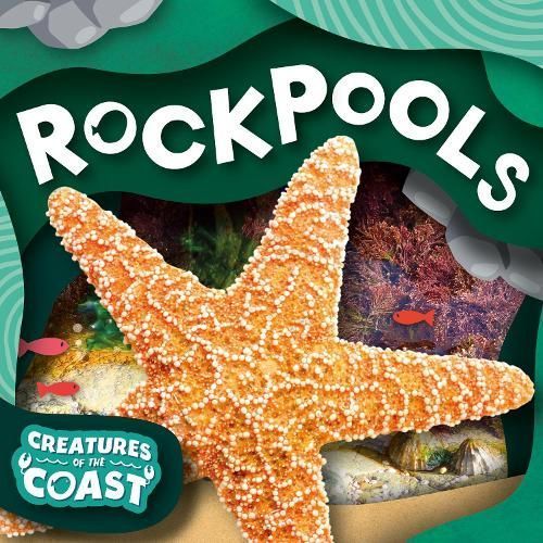 Rockpools By Noah Leatherland 9781805053897 (Paperback)