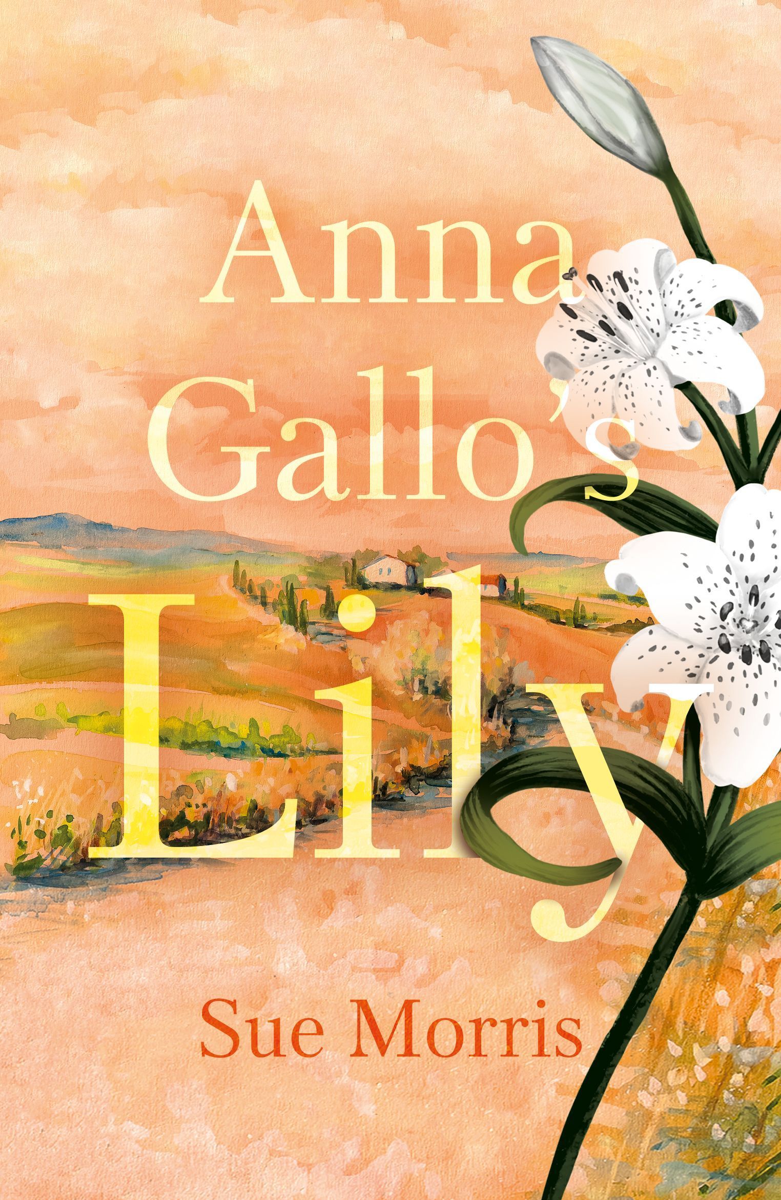Anna Gallo's Lily By Sue Morris 9781805144700 (Paperback)