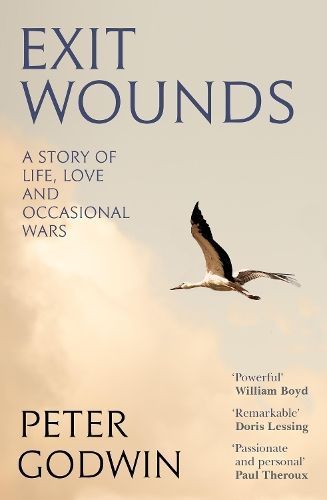 Exit Wounds By Peter Godwin 9781805303336 (Hardback)