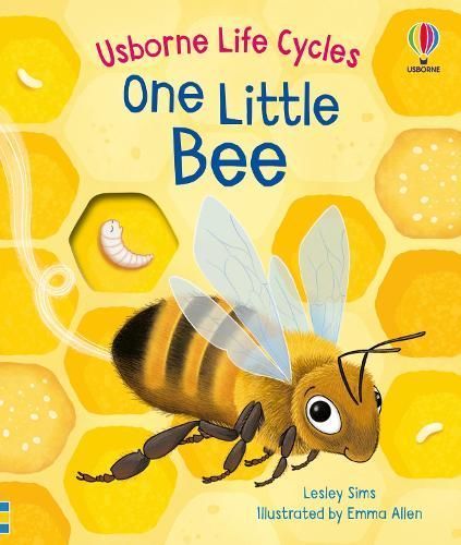 One Little Bee 9781805312628 (Board book)