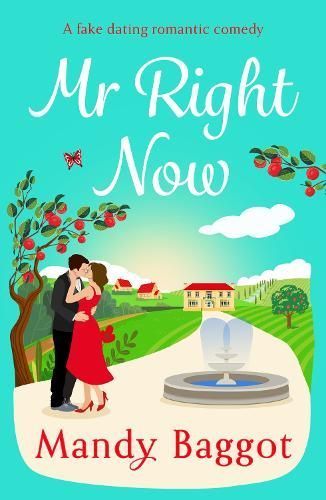 Mr Right Now By Mandy Baggot 9781835616369 (Hardback)