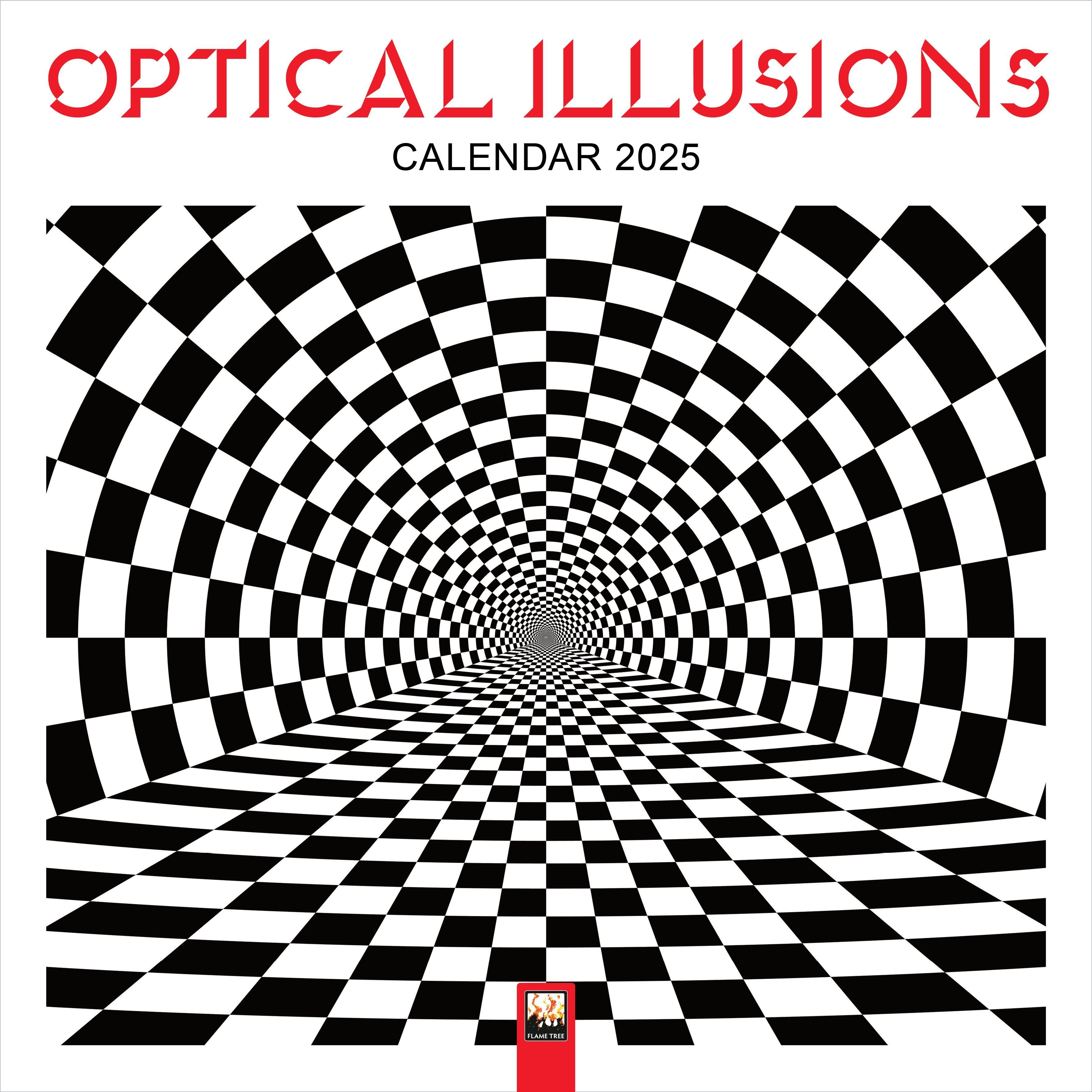 Optical Illusions Wall Calendar 2025 (Art Calendar) 9781835620175