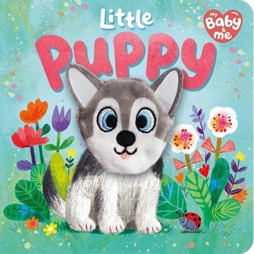 Little Puppy By Igloobooks (author), Ag Jatkowska (illustrator)