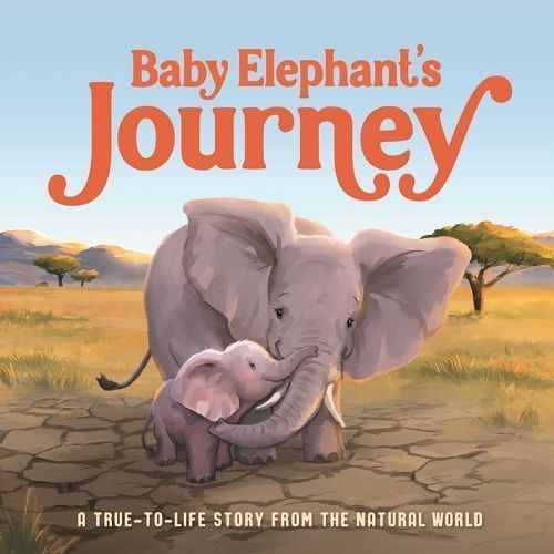 Baby Elephant's Journey 9781837716791 (Board book)