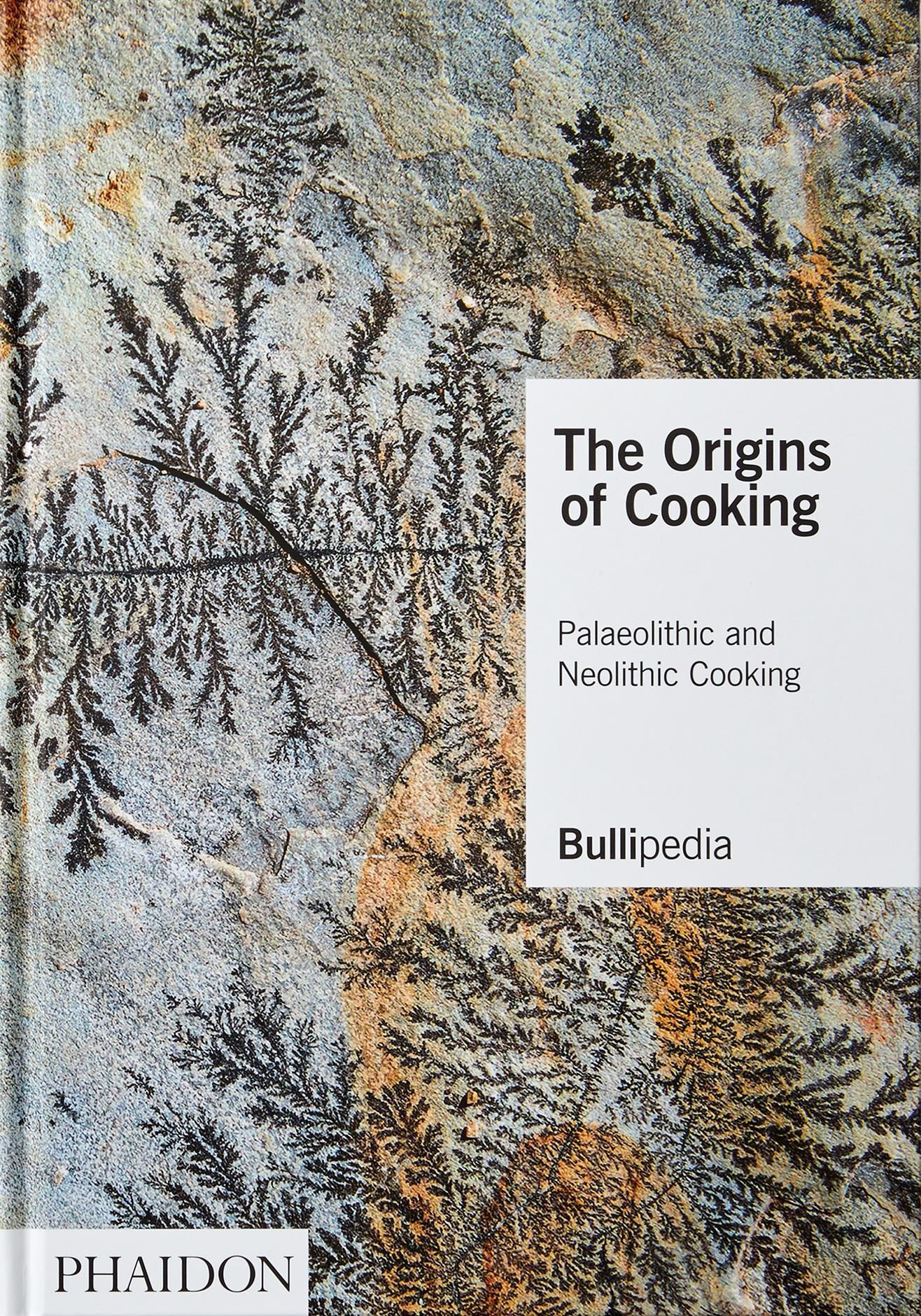 The Origins of Cooking By elBullifoundation 9781838661625 (Hardback)