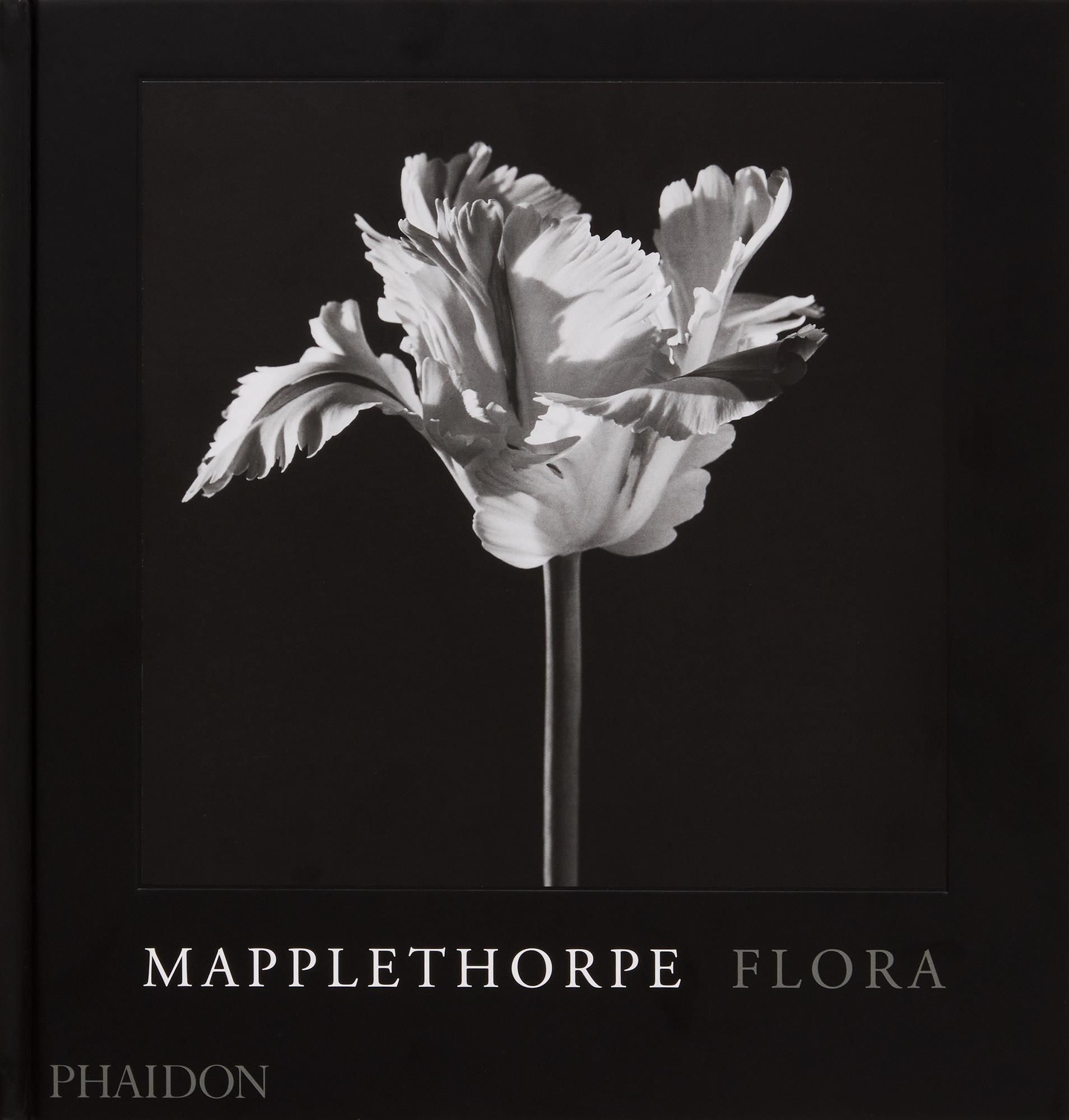Mapplethorpe Flora By Robert Mapplethorpe 9781838668211 (Hardback)