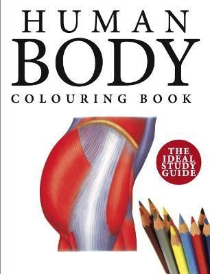 Human Body Colouring Book By Abrahams, Peter 9781838863050 (Paperback)