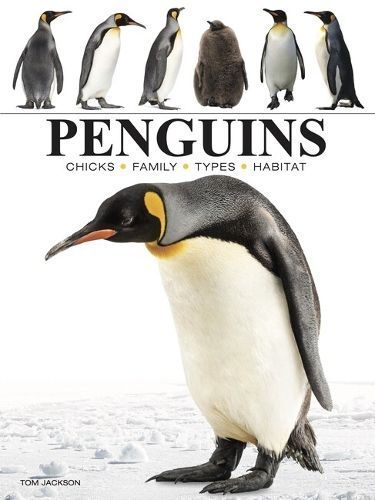 Penguins By Tom Jackson 9781838863609 (Paperback)