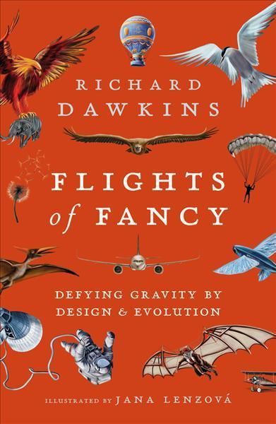 Flights of Fancy 9781838937867 (Paperback)