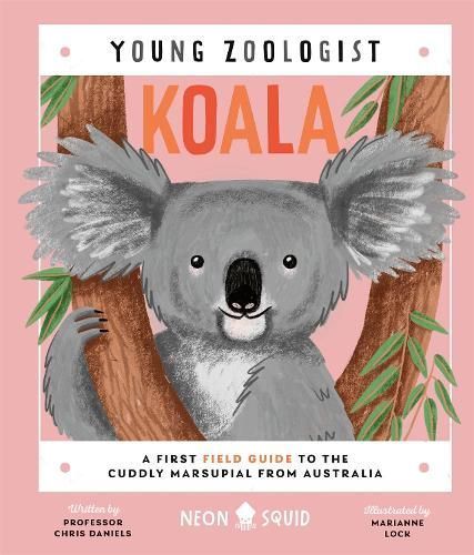 Koala By Christopher B. Daniels (author), Marianne Lock (illustrator)
