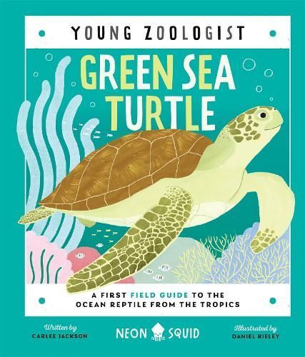 Green Sea Turtle 9781838992897 (Hardback)