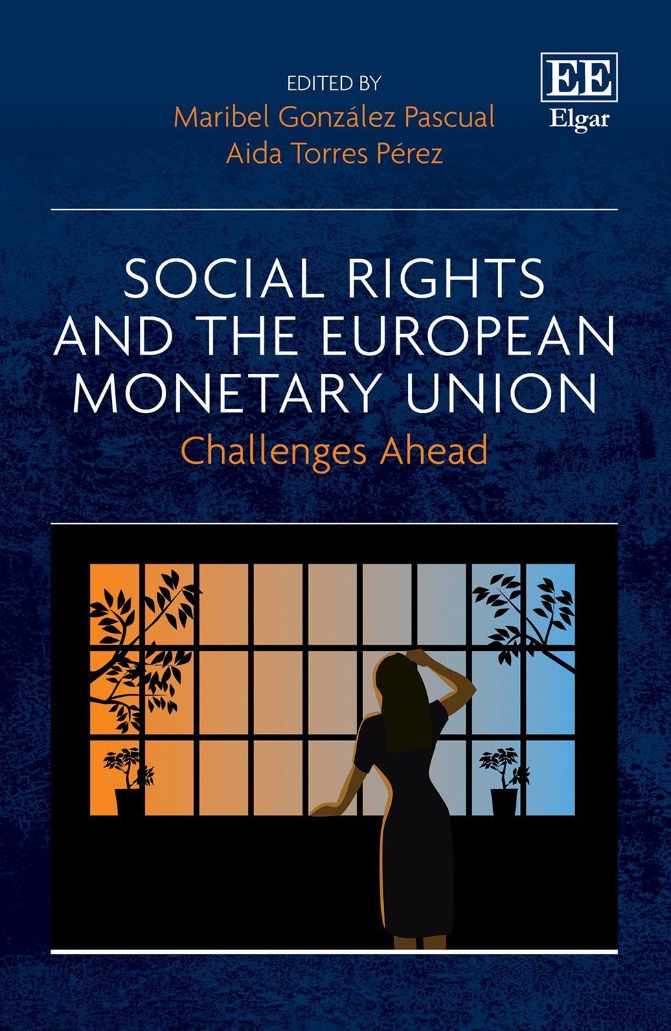 Social Rights and the European Monetary Union 9781839105241 (Hardback)